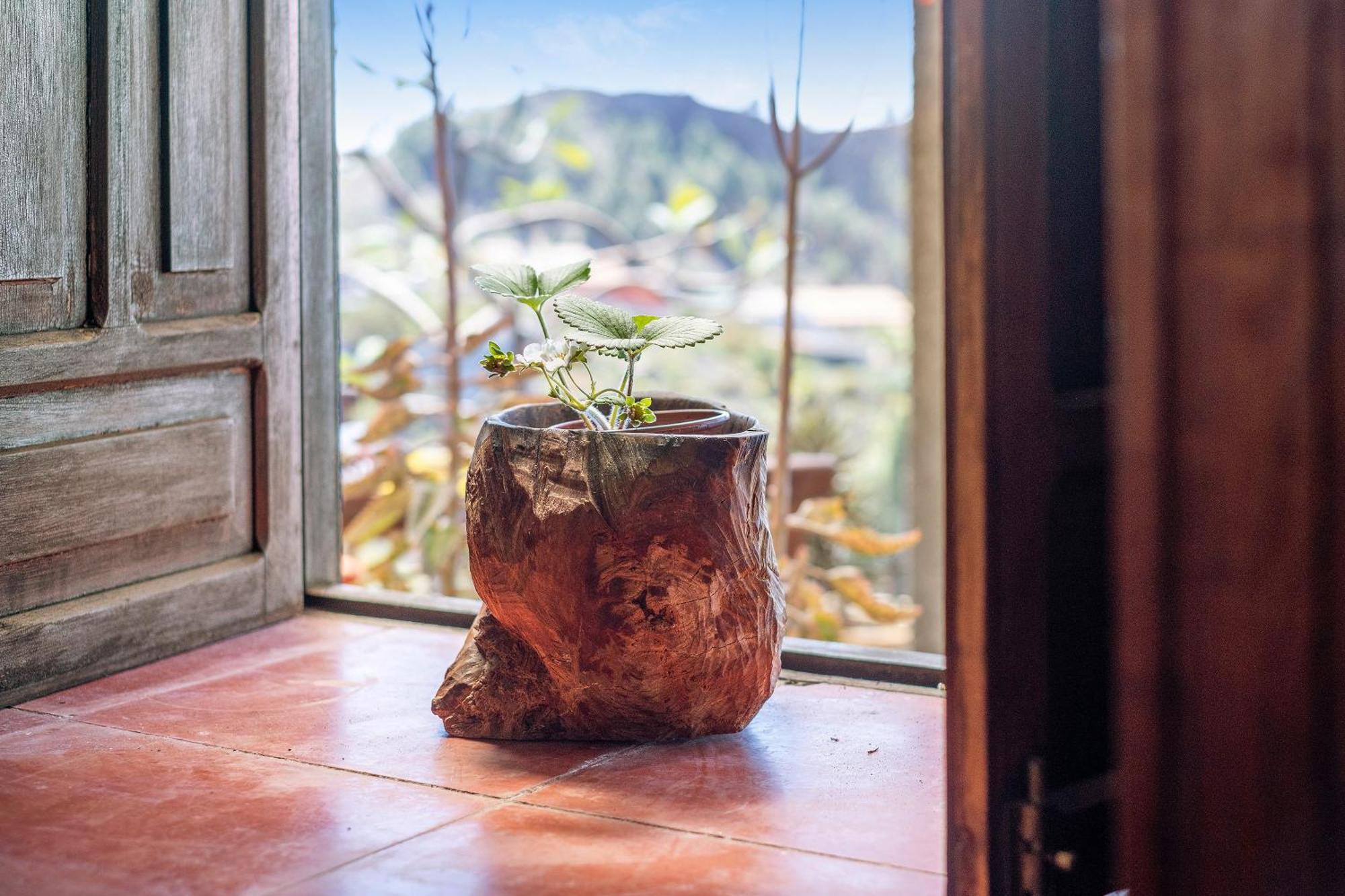 Vila Casa La Podona- A Jedey Exteriér fotografie